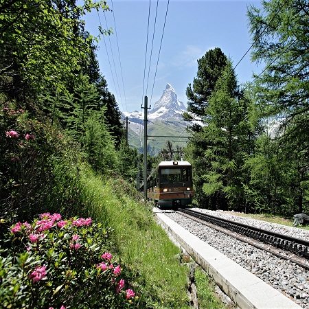 Gornergrat train-zermatt