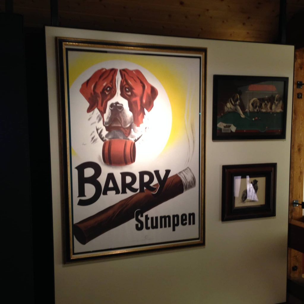 Barry Foundation: Iconic Swiss Saint Bernards