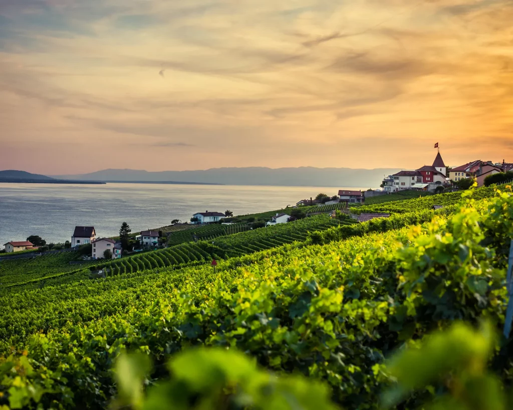 Lavaux Swiss Private Tours